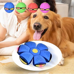 Bola pula pula para pets