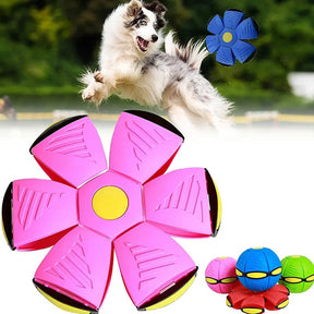 Bola pula pula para pets